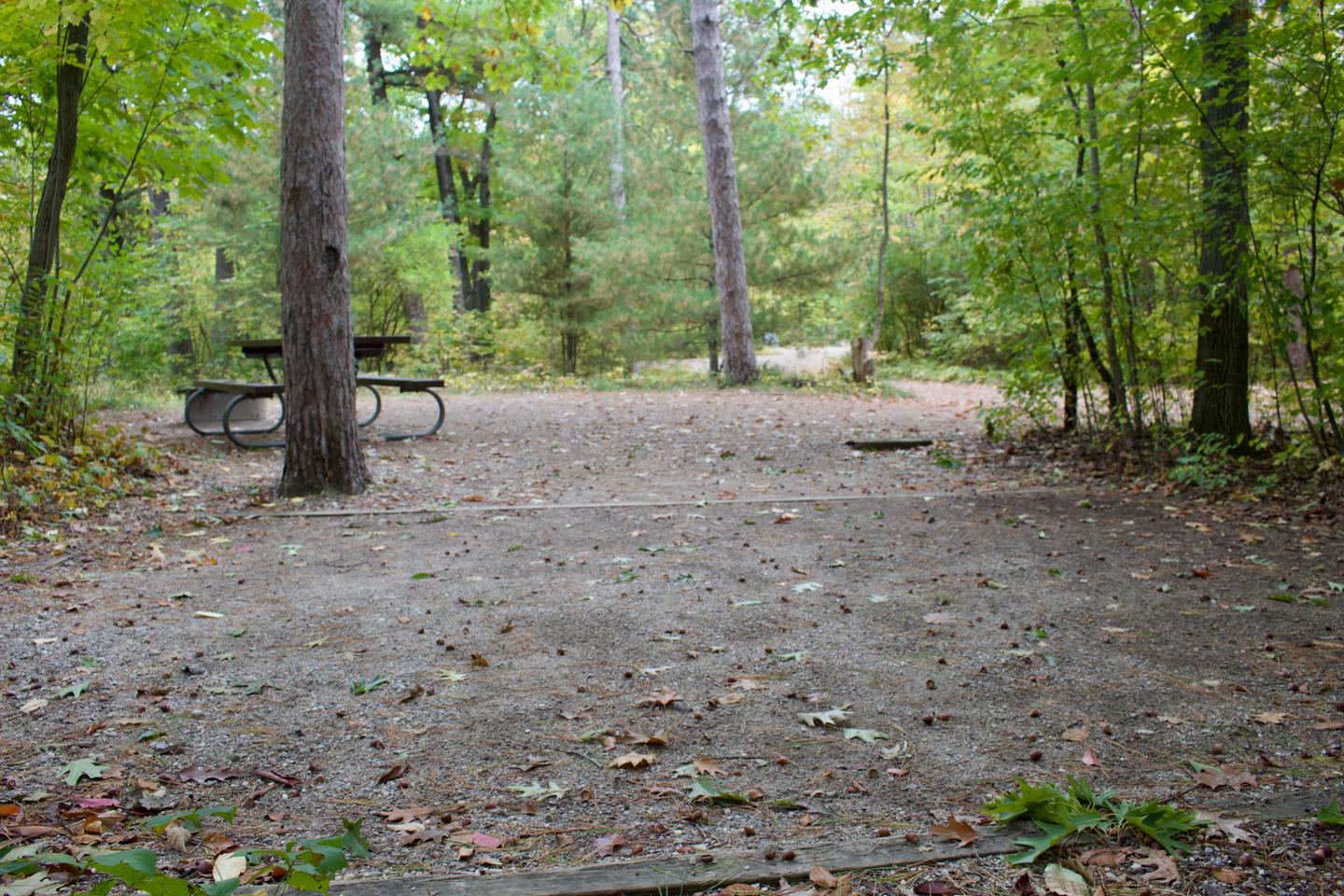 Campsite #49, view from the tent pad toward the site