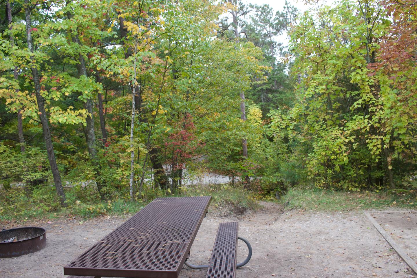 Campsite #57, view from the site toward the parking