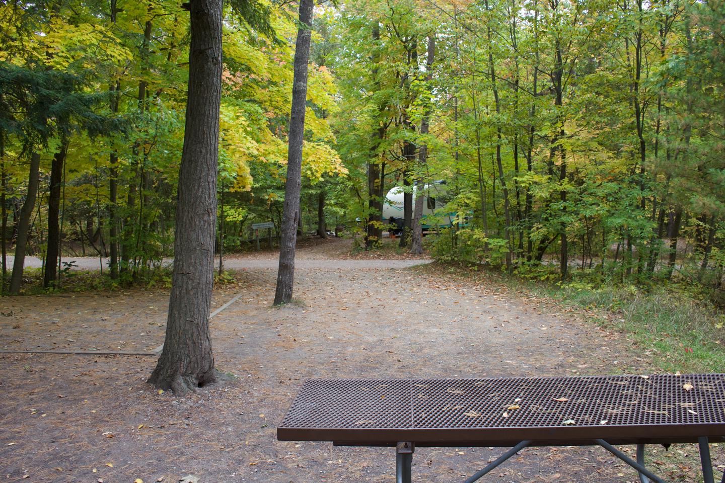 Campsite #65, view from the site toward the road