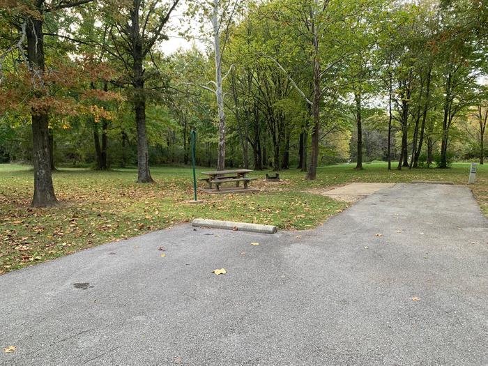 picnic table and fire pit to the left of camp pad, electric, water,and sewer to the right of pad.