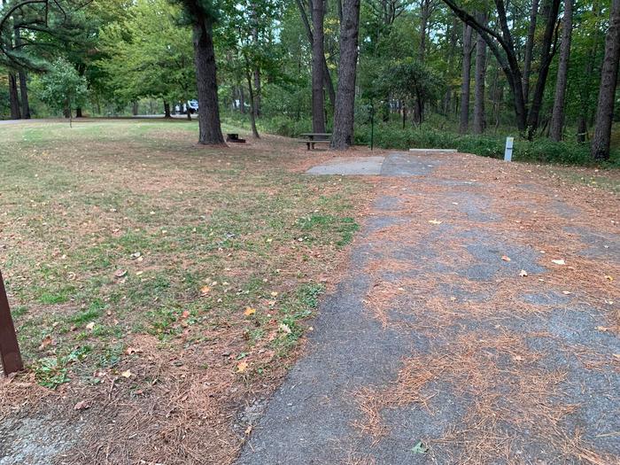 This site is nestled in the tree line with the picnic table and fire pit located on the left side of the paved parking/camping pad and the hookups are located to the right of the pad. 