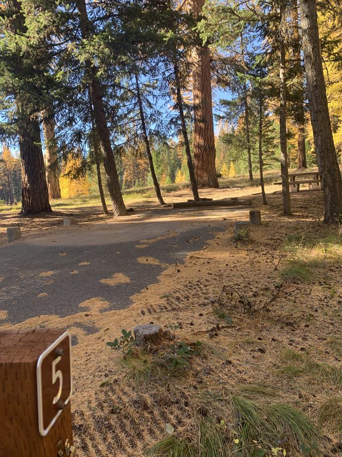 A photo of Site SLS5 in Loop 1 at Seeley Lake Lolo Campground (MT) with campsite marker, parking area. A photo of Site SLS5 in Loop 1  at Seeley Lake Lolo Campground (MT) with campsite marker, parking area. 