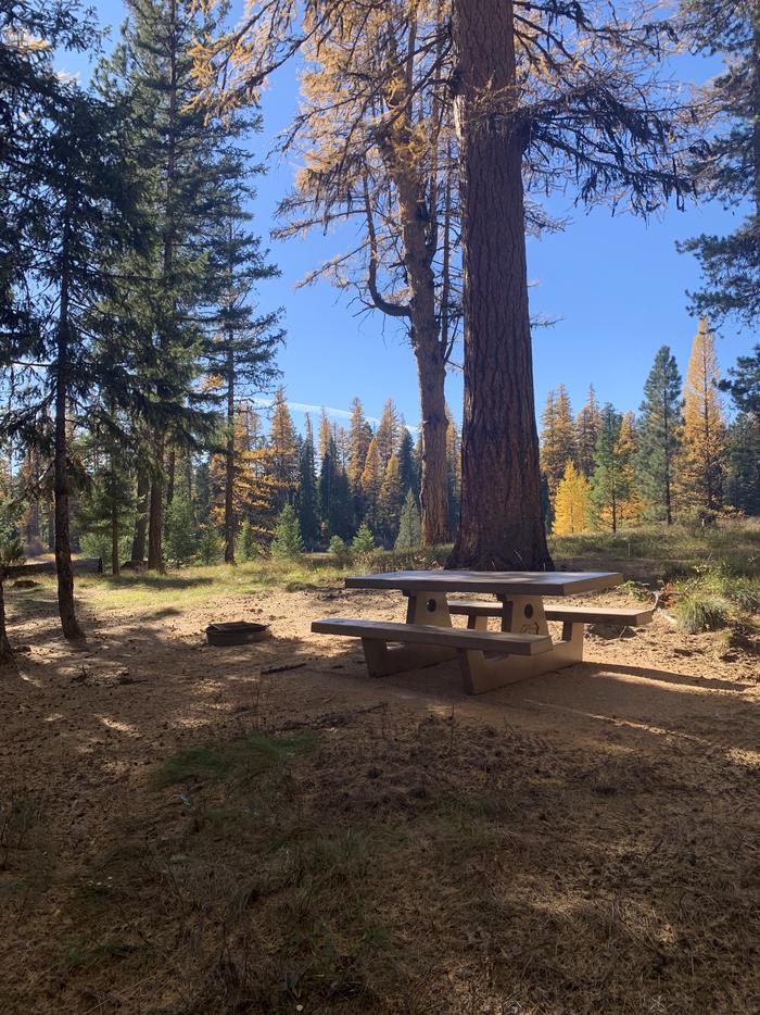 A photo of Site SLS5 in Loop 1 at Seeley Lake Lolo Campground (MT) with picnic table, campfire ring.A photo of Site SLS5 in Loop 1  at Seeley Lake Lolo Campground (MT) with picnic table, campfire ring. 