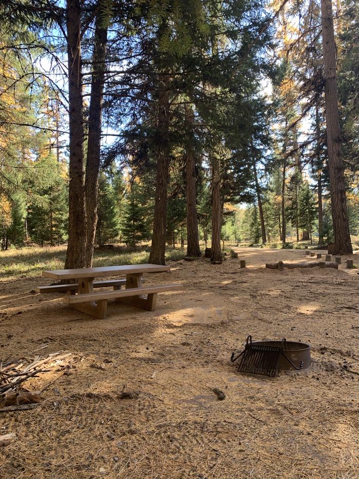 A photo of Site SLS6 in Loop 1 at Seeley Lake Lolo Campground (MT) with picnic table, campfire ring.A photo of Site SLS6 in Loop 1 at Seeley Lake Lolo Campground (MT) with picnic table, campfire ring. 