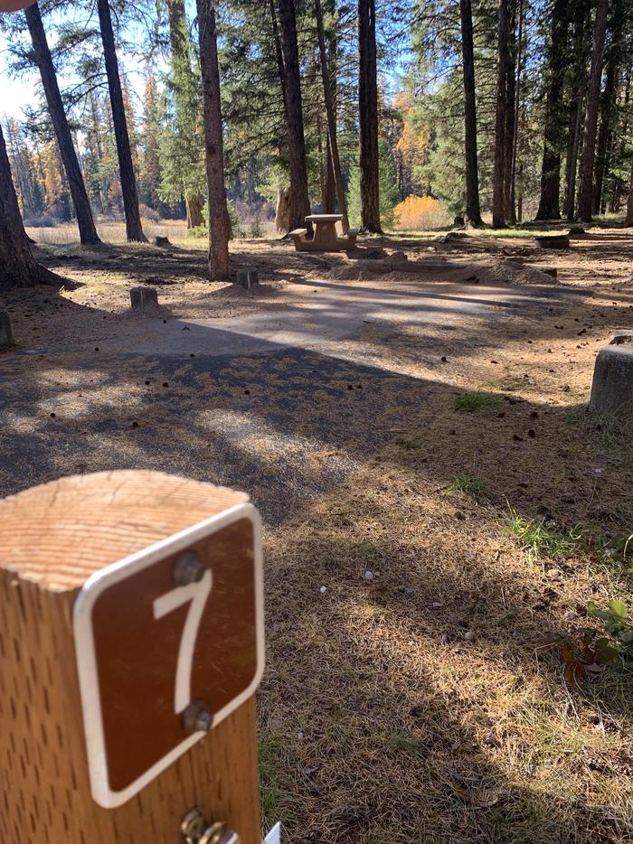 A photo of Site SLS7 in Loop 1  at Seeley Lake Lolo Campground (MT) with campsite marker, parking area. 
