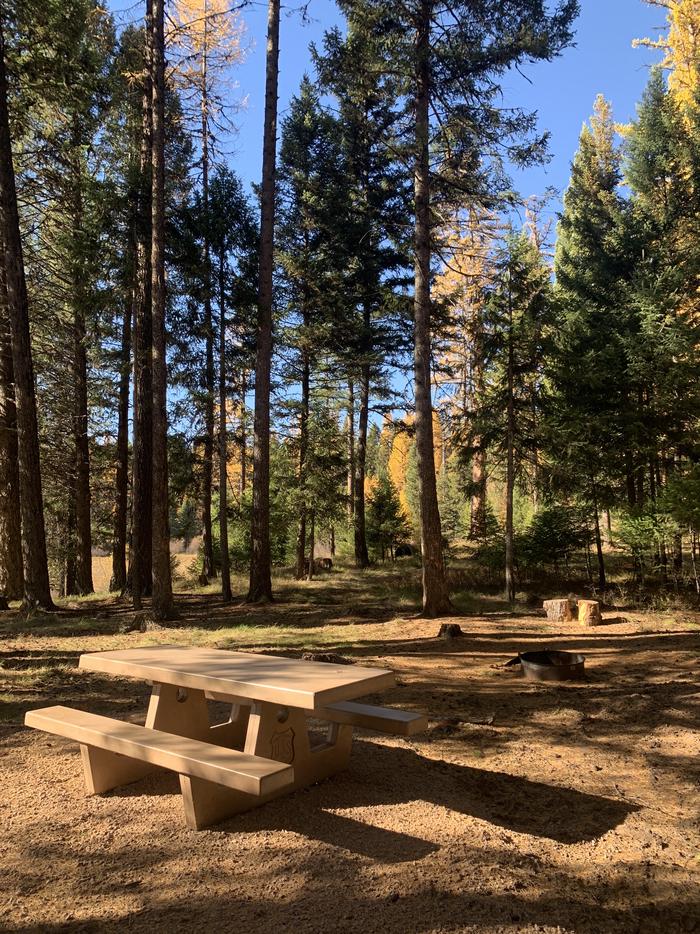 A photo of Site SLS7 in Loop 1  at Seeley Lake Lolo Campground (MT) with Picnic Table, Fire Pit.