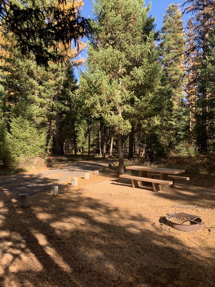 A photo of Site SLS8 in Loop 1 at Seeley Lake Lolo Campground (MT) with picnic table, campfire ring, parking area.