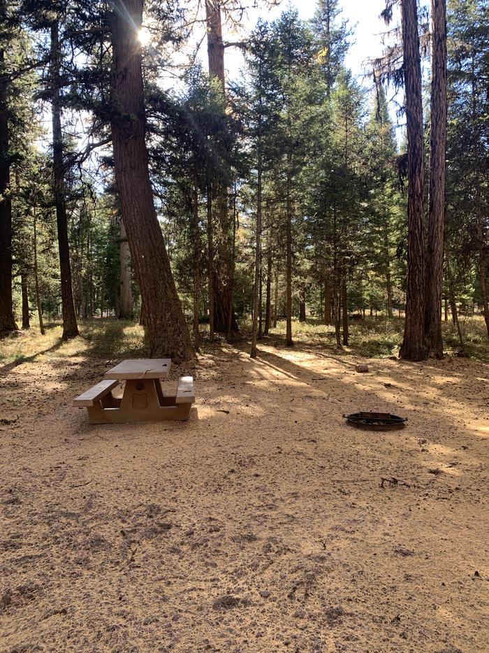 A photo of Site SLS10 in Loop 1  at Seeley Lake Lolo Campground (MT) with picnic table, fire ring. 