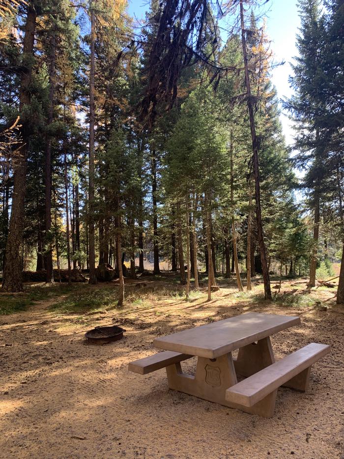 A photo of Site SLS9 in Loop 1  at Seeley Lake Lolo Campground (MT) with picnic table, fire pit. 