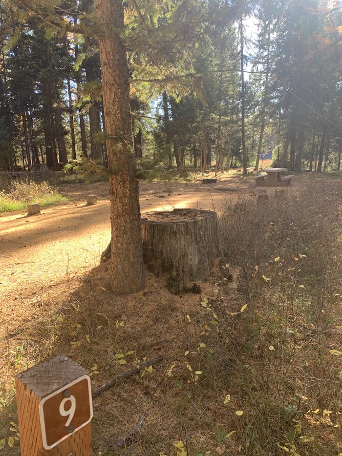 A photo of Site SLS9 in Loop 1 at Seeley Lake Lolo Campground (MT) with campsite marker, parking area. A photo of Site SLS9 in Loop 1  at Seeley Lake Lolo Campground (MT) with campsite marker, parking area. 