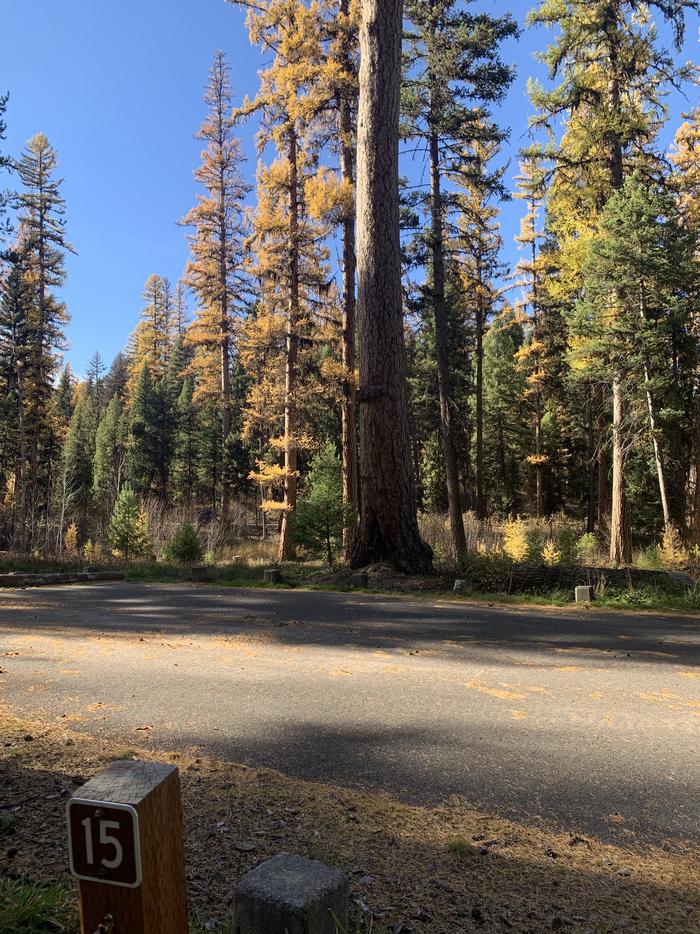 A photo of Site SLS15 in Loop 2 at Seeley Lake Lolo Campground (MT) with campsite marker, parking area. 