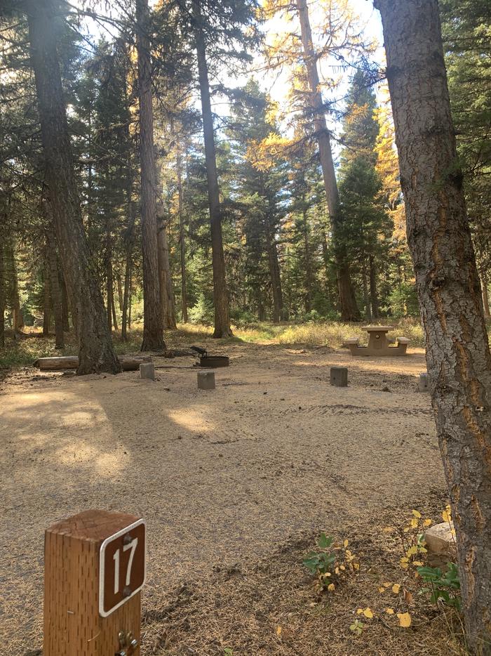 A photo of Site SLS17 in Loop 2 at Seeley Lake Lolo Campground (MT) with campsite marker, parking area, picnic table, campfire ring.