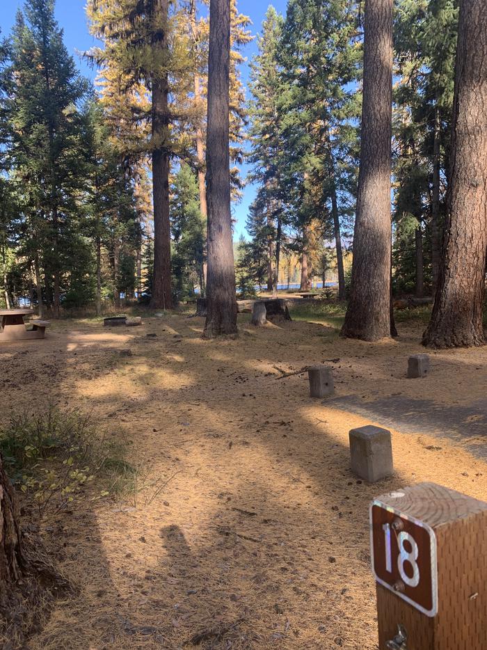 A photo of Site SLS18 in Loop 2 at Seeley Lake Lolo Campground (MT) with campsite marker. 