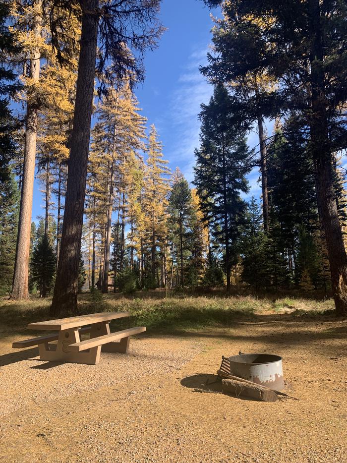 A photo of Site SLS21 in Loop 2 at Seeley Lake Lolo Campground (MT) with picnic table, campfire ring.A photo of Site SLS21 in Loop 2 at Seeley Lake Lolo Campground (MT) with picnic table, campfire ring. 
