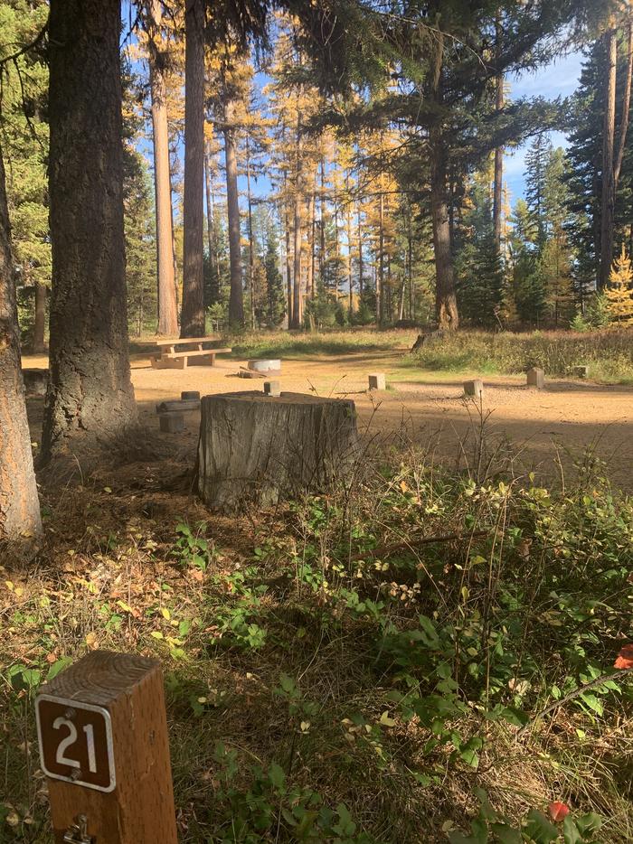 A photo of Site SLS21 in Loop 2 at Seeley Lake Lolo Campground (MT) with campsite marker. 