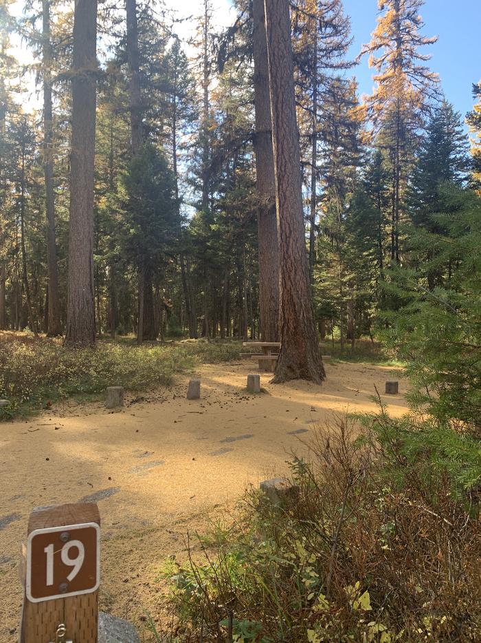 A photo of Site SLS19 in Loop 2 at Seeley Lake Lolo Campground (MT) with campsite marker. 