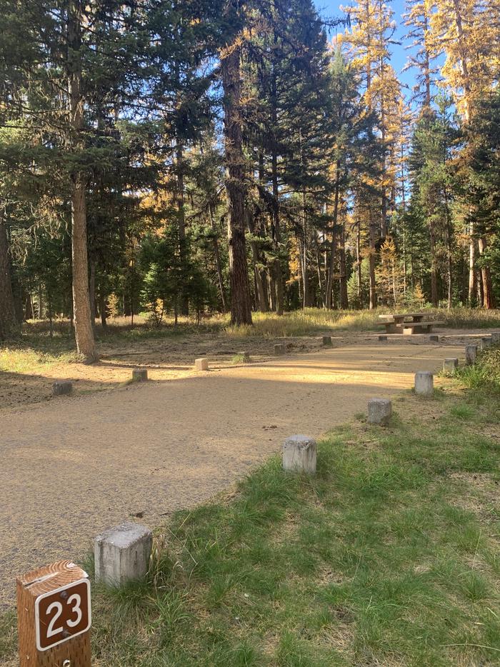 A photo of Site SLS23 in Loop 2 at Seeley Lake Lolo Campground (MT) with campsite marker, parking area.