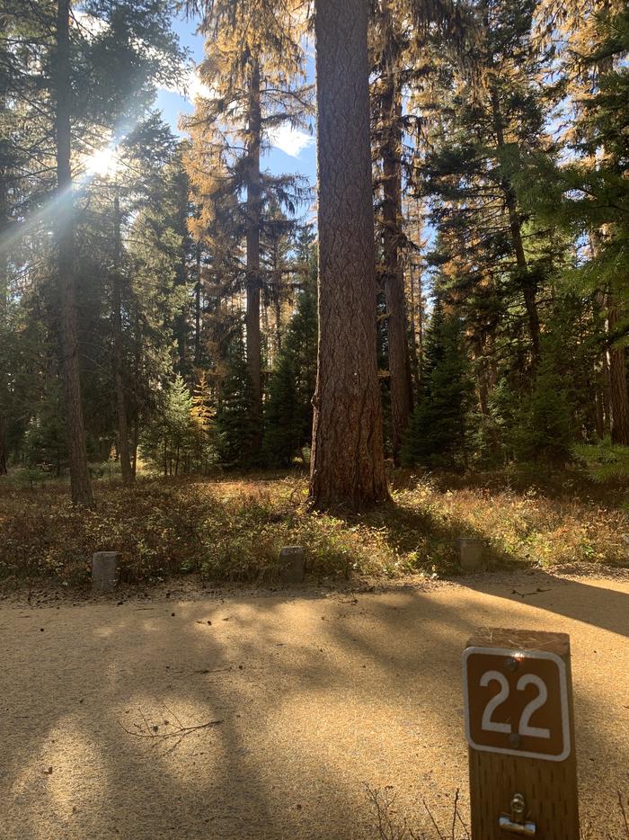 A photo of Site SLS22 in Loop 2 at Seeley Lake Lolo Campground (MT) with campsite marker. 