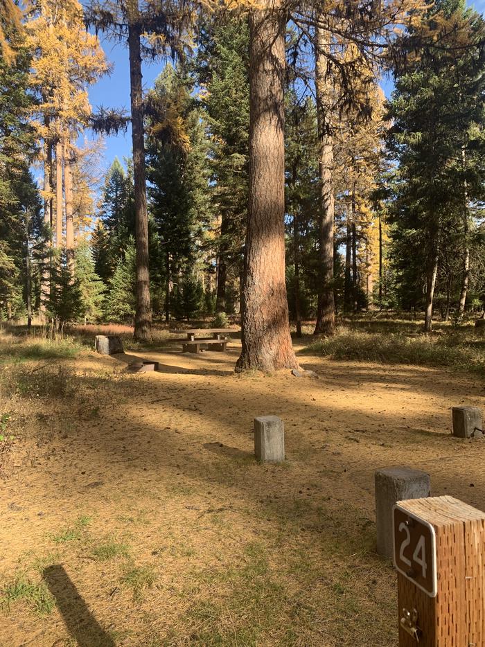 A photo of Site SLS24 in Loop 2 at Seeley Lake Lolo Campground (MT) with campsite marker, parking area. A photo of Site SLS24 in Loop 2 at Seeley Lake Lolo Campground (MT) with campsite marker.