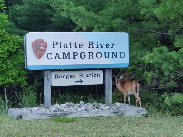 A deer stands warily near the Platte River campground entrance sign