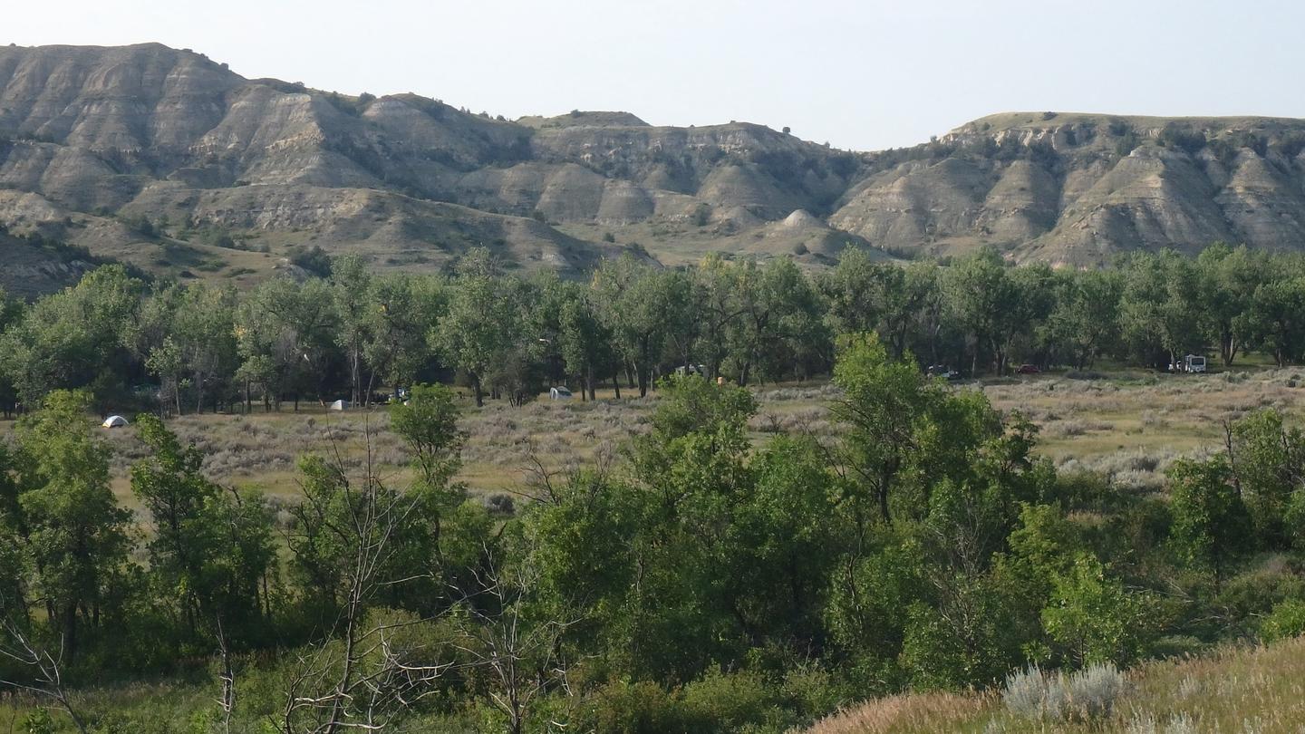View of Cottonwood Campground from the main park road.  There are buttes in the background with a large stand of cottonwoods and a field in between. View of Cottonwood Campground from the main park road.
