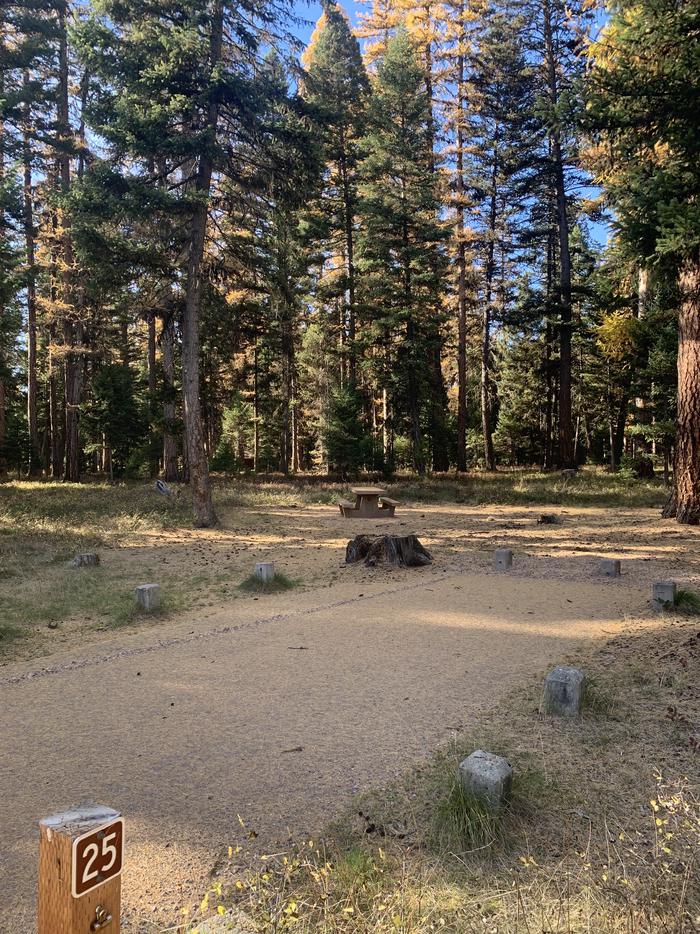A photo of Site SLS25 in Loop 2 at Seeley Lake Lolo Campground (MT) with campsite marker, parking area, and picnic table. 