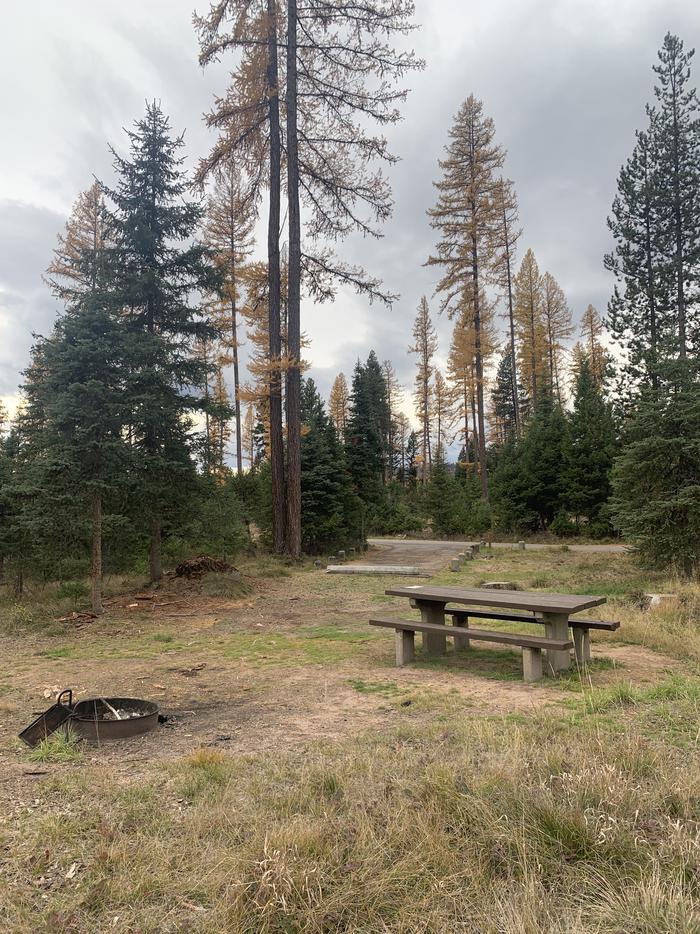 A photo of Site BLS45 of Loop 3 at Big Larch Campground with picnic table, campfire ring. 