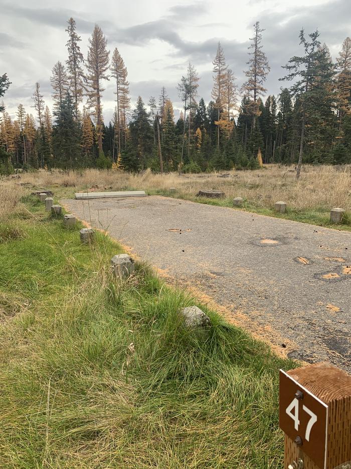 A photo of Site BLS47 of Loop 3 at Big Larch Campground with campsite marker, parking area. 