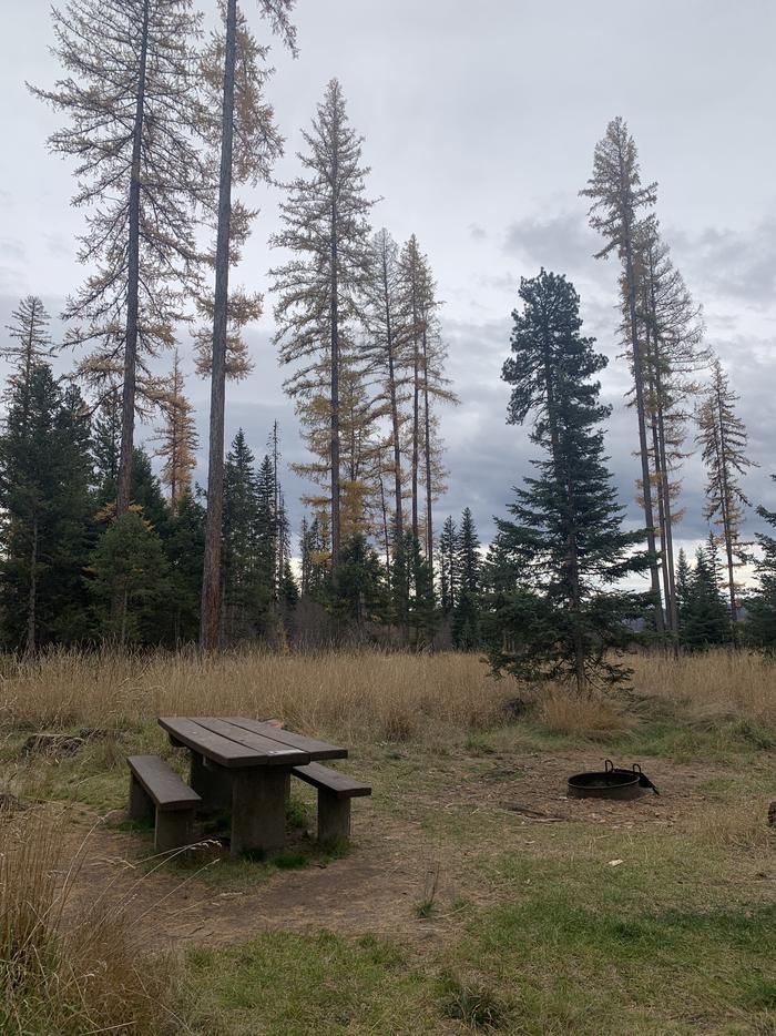 A photo of Site BLS48 of Loop 3 at Big Larch Campground with picnic table, campfire ring. 