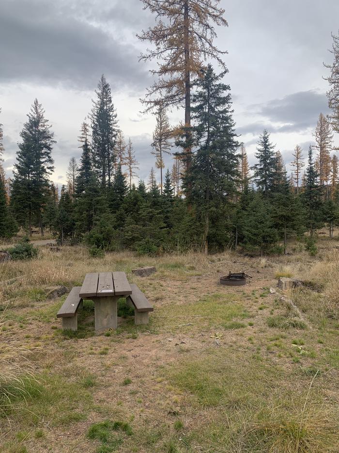 A photo of Site BLS47 of Loop 3 at Big Larch Campground with picnic table, campfire ring.A photo of Site BLS47 of Loop 3 at Big Larch Campground with picnic table, campfire ring. 