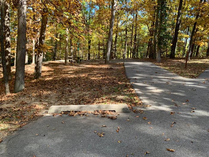  This site has many trees surrounding it, providing lots of shade. The fire pit and picnic table (sitting on a concrete pad) are located on the left side of the paved pad. Hookups are on the right side. The rear of this site is near the lake giving you a great view. 