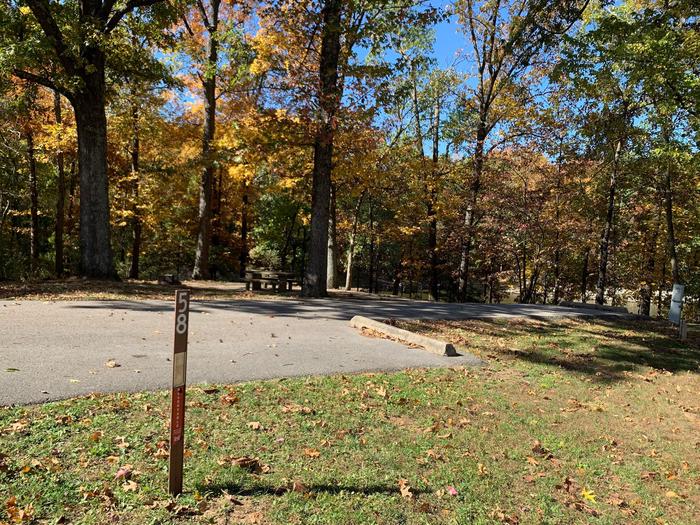 This site is located near the waters edge providing a great view of the lake. The picnic table is located on the left along with the fire pit. Electric hookup is on the right. 
