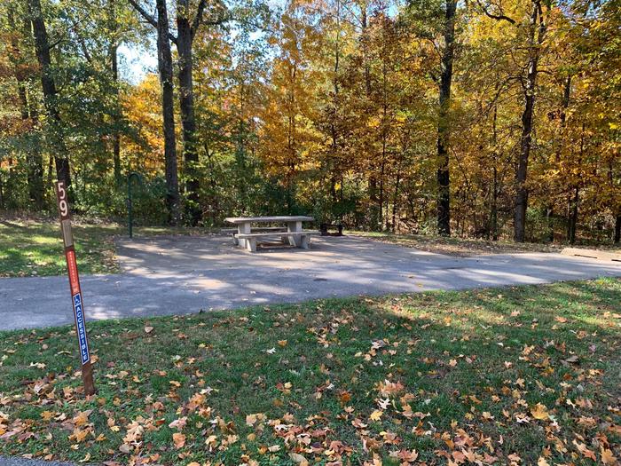 This site is handicap accessible. The picnic table and fire pit are located on the left side. Electric hookup is on the right.  