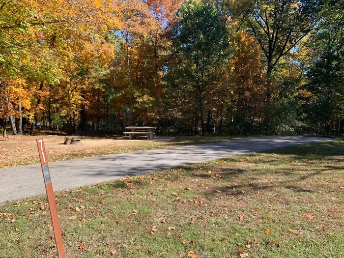 This site is located near the waters edge providing a great view. This electricity hook up is on the right side of the paved parking/camping pad. The picnic table and fire pit are on the right side of the pad. There are also plenty of trees providing shade. 