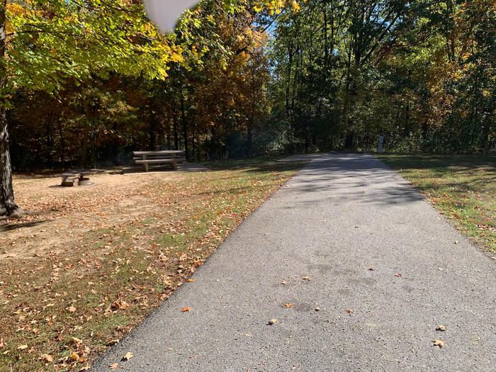 This site is located near the waters edge providing a great view. This electricity hook up is on the right side of the paved parking/camping pad. The picnic table and fire pit are on the right side of the pad. There are also plenty of trees providing shade. 