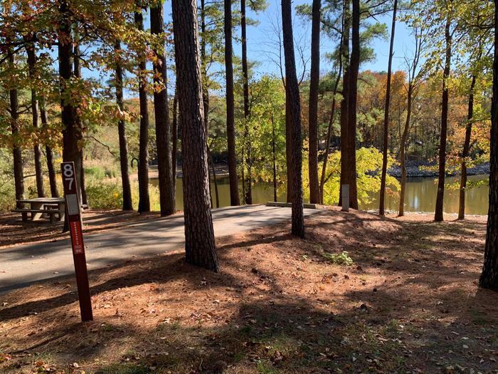 This site has a picnic table and fire pit to the left of the paved parking/camping site. Hookups are to the right of the site with a tree line at the rear of the pad providing shade. 