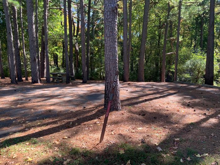 This site has a picnic table and fire pit to the left of the paved parking/camping site. Hookups are to the right of the site with a tree line at the rear of the pad providing shade. 