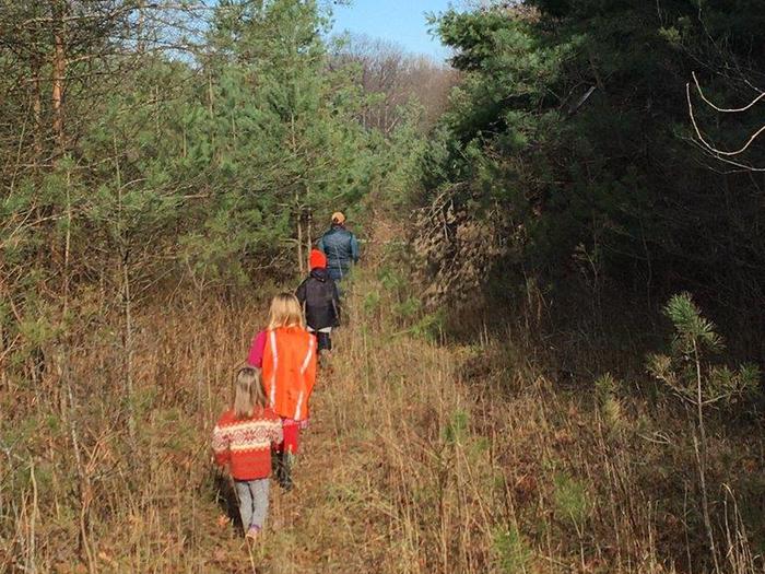Preview photo of Huron-Manistee National Forest Christmas Tree Permit