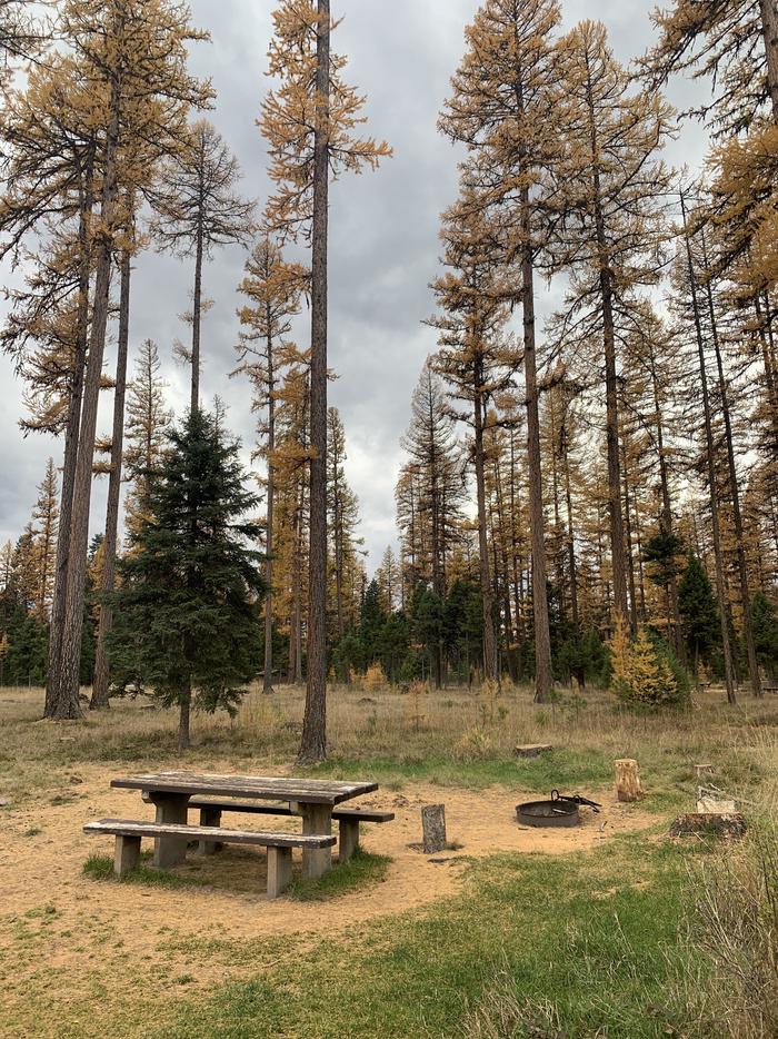 A photo of Site BLS19 in Loop 2 at Big Larch Campground with picnic table, campfire ring. 