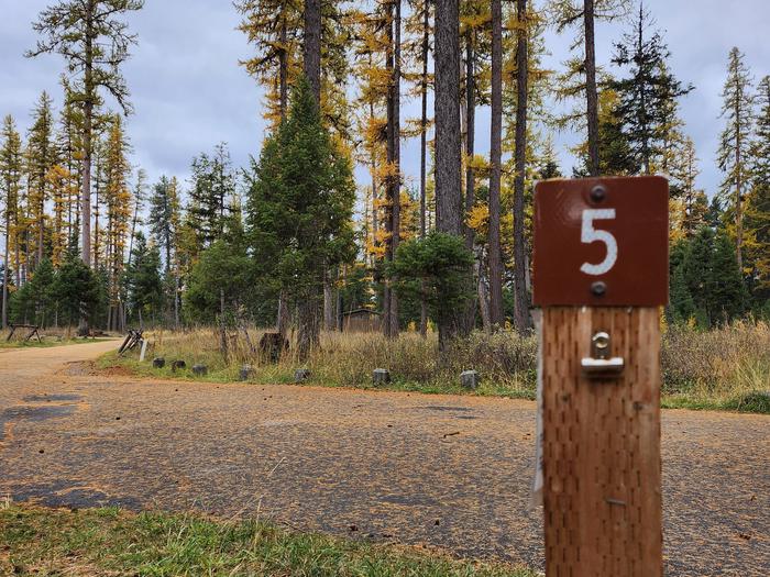 A photo of BLS05 in Loop 1 at Big Larch Campground with campsite marker, parking area.