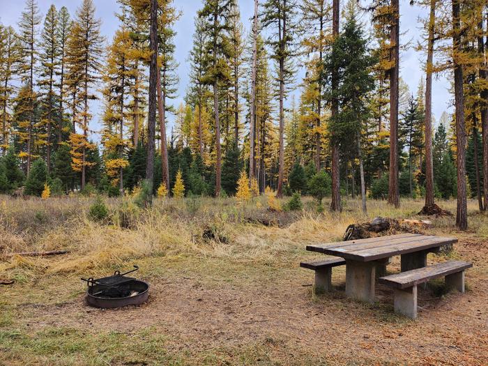 A photo of BLS05 in Loop 1 at Big Larch Campground with a picnic table, fire pit. 