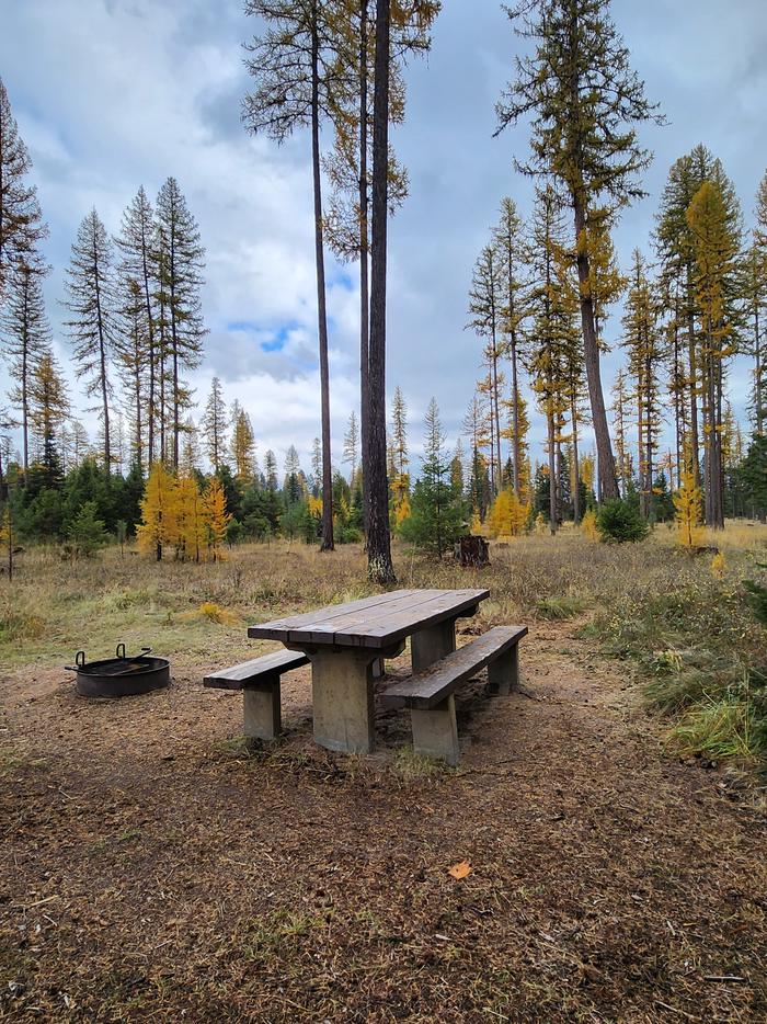 A photo of BLS02 in Loop 1 at Big Larch Campground with picnic table, campfire ring. 