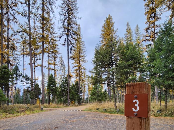 A photo of BLS03 in Loop 1 at Big Larch Campground with campsite marker, parking area.