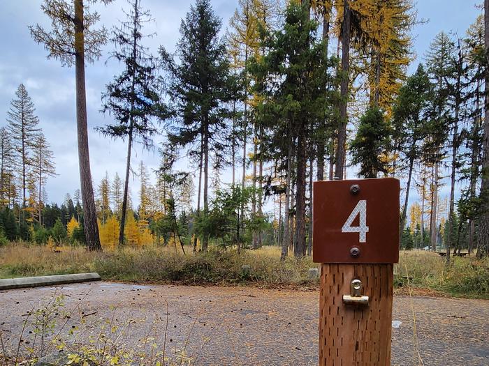 A photo of BLS04 in Loop 1 at Big Larch Campground with campsite marker, parking area.
