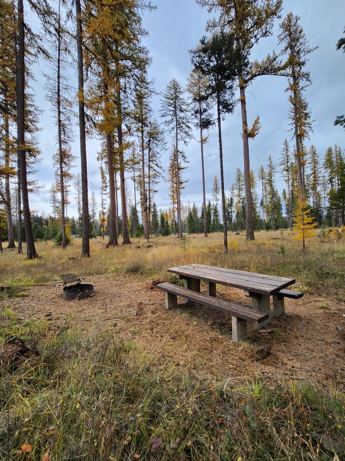 A photo of BLS06 in Loop 1 at Big Larch Campground with picnic table, campfire ring. 