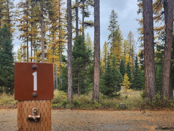 A photo of BLS01 in Loop 1 at Big Larch Campground with a campsite marker, parking area.