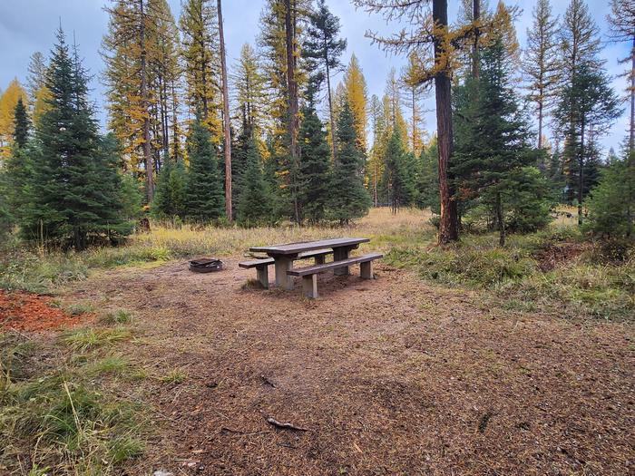 A photo of BLS01 in Loop 1 at Big Larch Campground with a picnic table, campfire ring. 