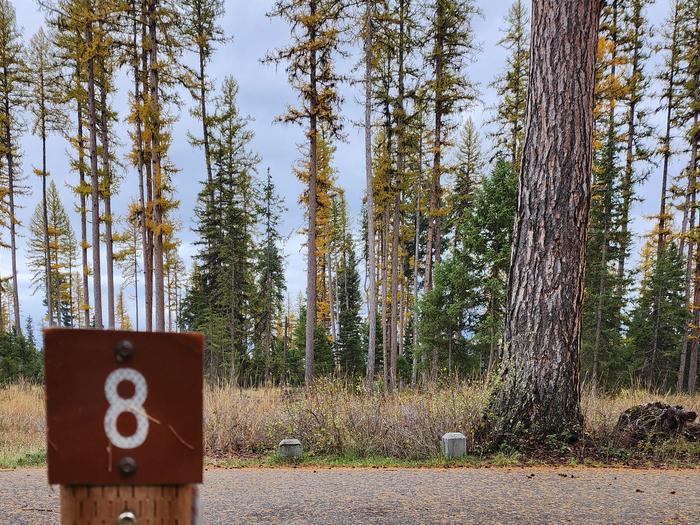 A photo of BLS08 in Loop 1 at Big Larch Campground with campsite marker, parking area.