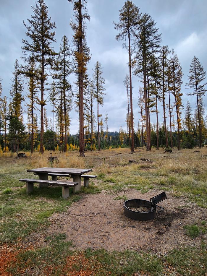 A photo of BLS08 in Loop 1 at Big Larch Campground with picnic table, campfire ring. 