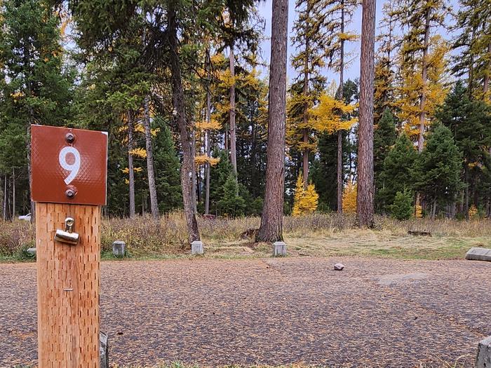 A photo of BLS09 in Loop 1 at Big Larch Campground with campsite marker, parking area.